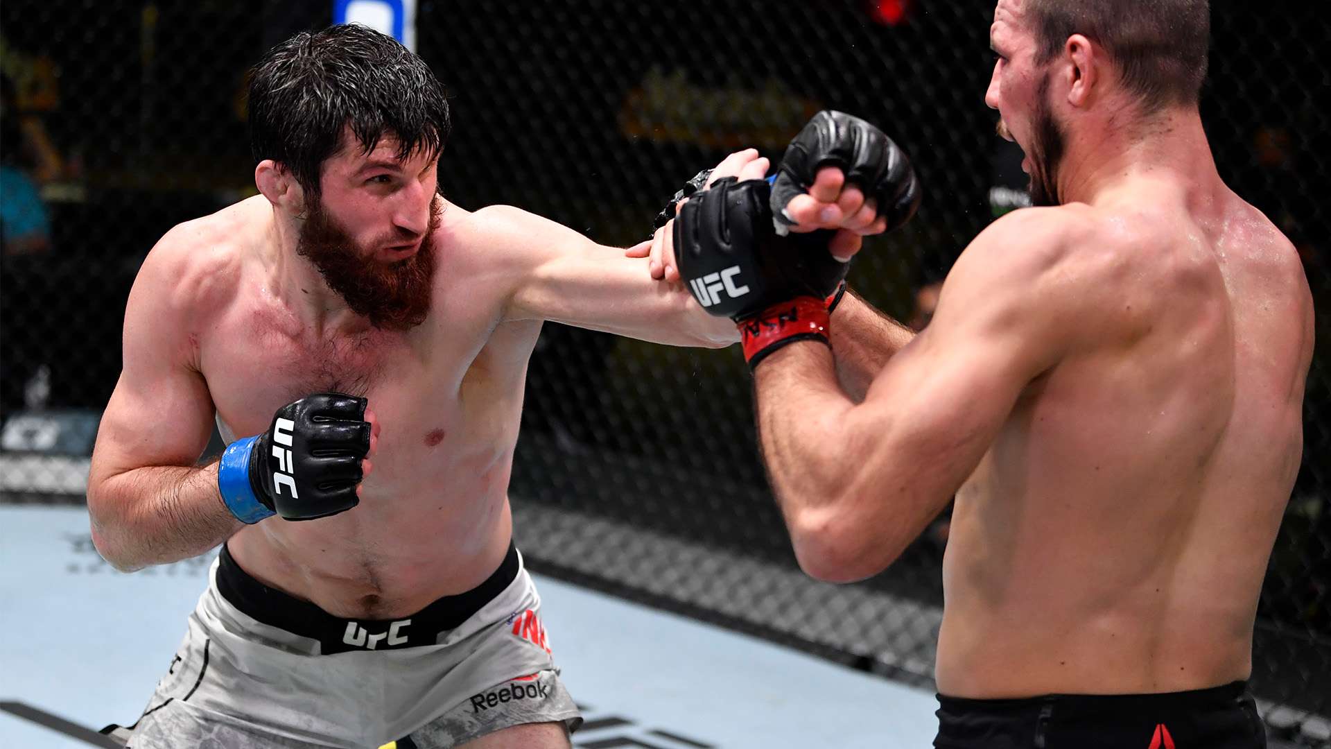 心理咨询团 心理咨询团